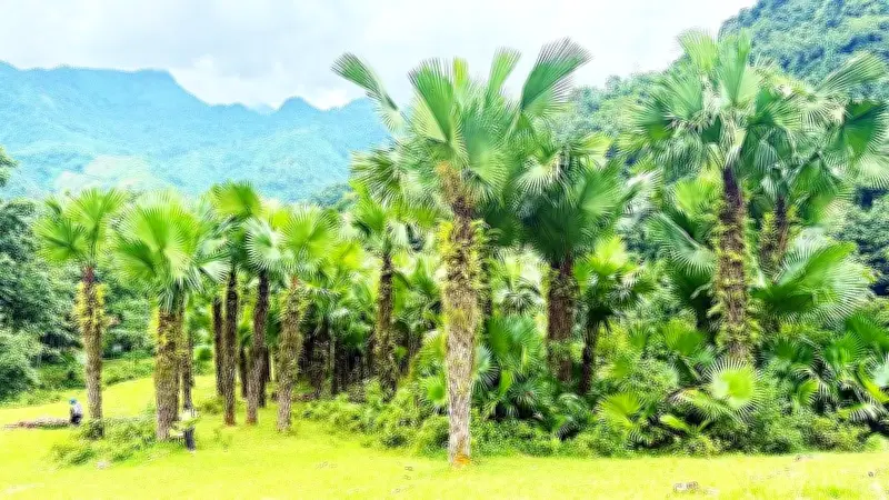 Bí ẩn tên gọi bản Khun và sức sống văn hóa giữa núi rừng Tuyên Quang