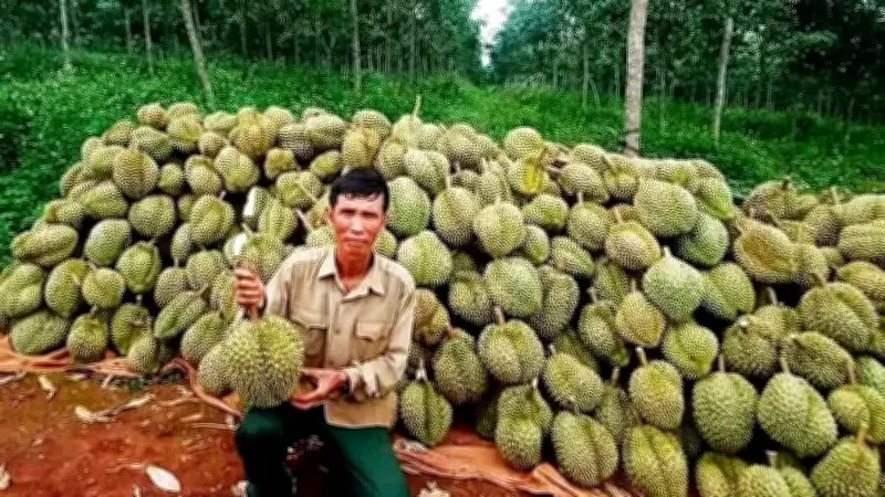 Bộ Nông nghiệp và Môi trường đẩy nhanh triển khai hệ thống truy xuất nguồn gốc nông sản