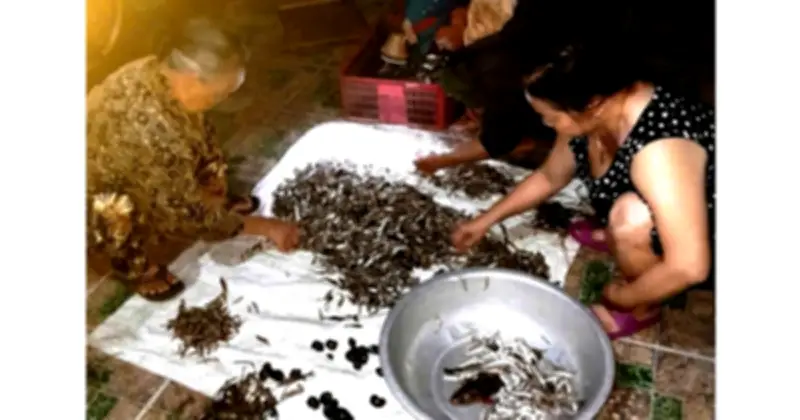 Bí quyết làm cá bống kho rim hồ Lắk: Từ bến cá lúc 3 giờ sáng đến hũ vàng giòn tan
