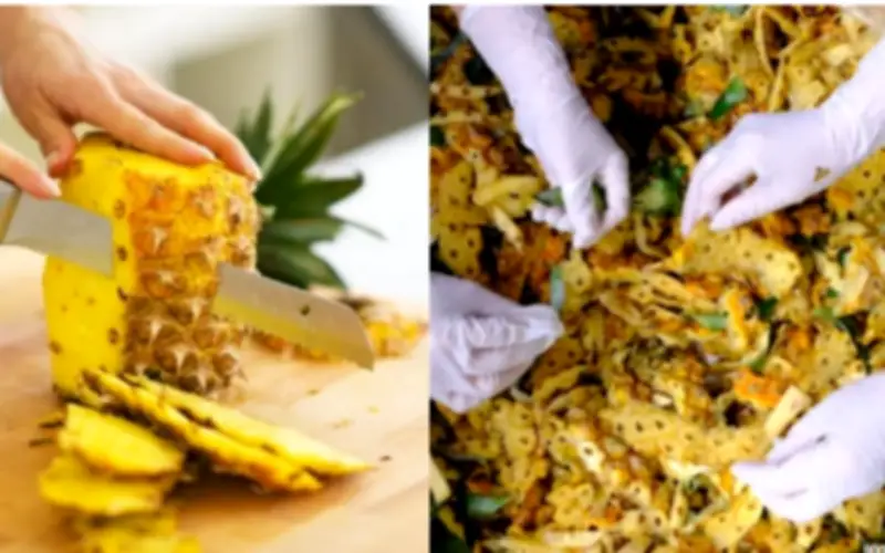 Bí quyết làm nước rửa bát từ vỏ trái cây, bếp sạch không hóa chất