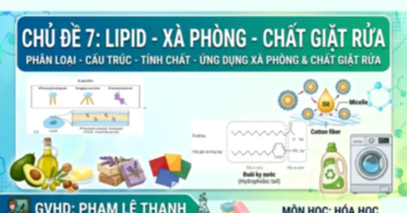 Bí quyết ôn thi THPT 2026 môn Hóa: Chuyên đề 7 - Este - Lipit (Phần 2)