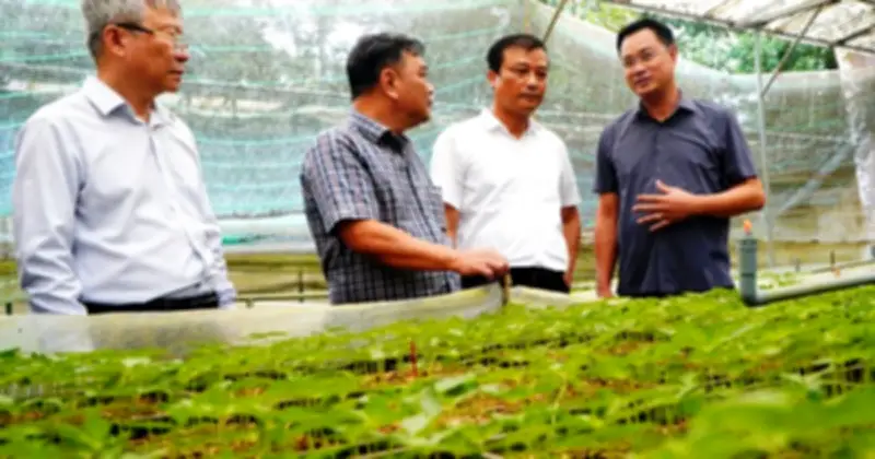 Bí thư Thành ủy Đà Nẵng khảo sát vùng trồng sâm Ngọc Linh tại Trà Linh