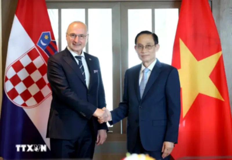 Bộ trưởng Ngoại giao Lê Hoài Trung hội đàm với người đồng cấp Croatia