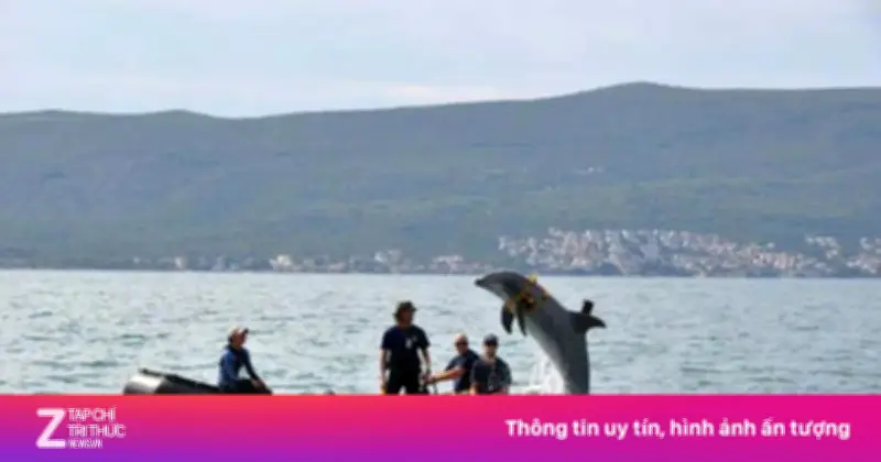 Bộ trưởng Quốc phòng Mỹ nói về cá heo tác chiến ở eo biển Hormuz