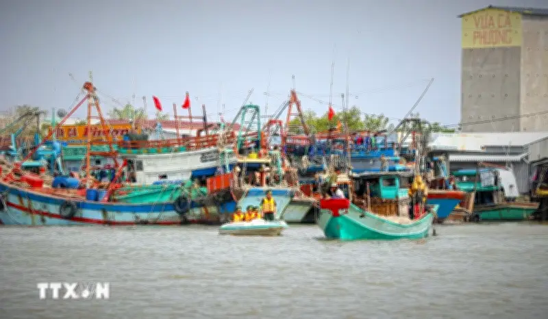 Ban Chỉ đạo quốc gia về IUU ban hành Quy chế hoạt động mới