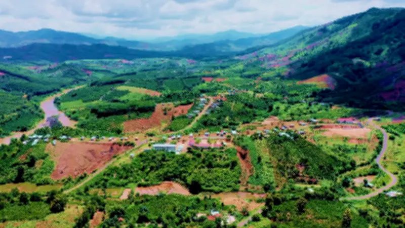 Ban hành quy chế hoạt động của Ban Chỉ đạo Trung ương các chương trình mục tiêu quốc gia giai đoạn 2026-2030