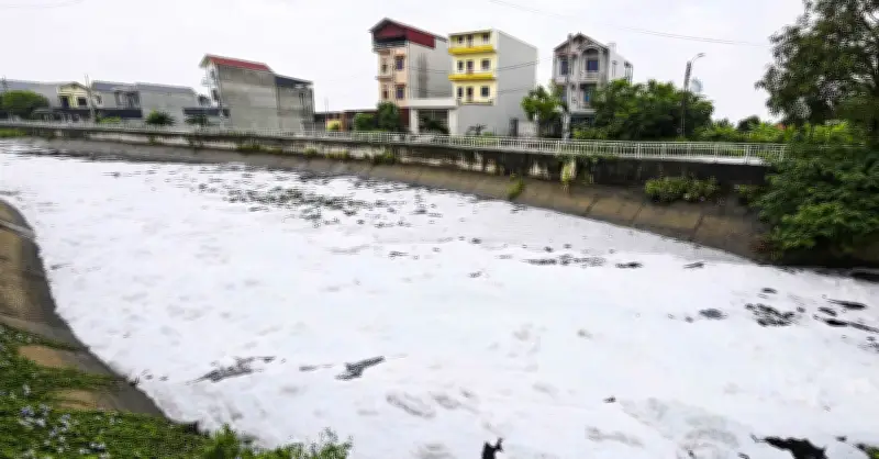 Bắc Ninh chỉ đạo xử lý ô nhiễm kênh Kim Đôi