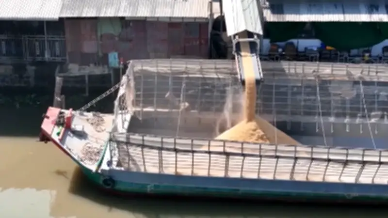 Bụi cám bao vây khu dân cư gần nhà máy xay xát ở Cờ Đỏ