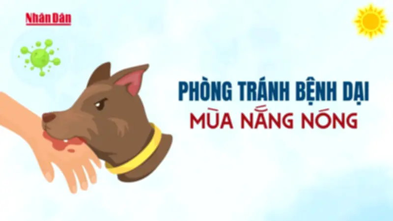 Bệnh dại tăng cao từ tháng 5 đến tháng 8, Bộ Y tế khuyến cáo phòng ngừa