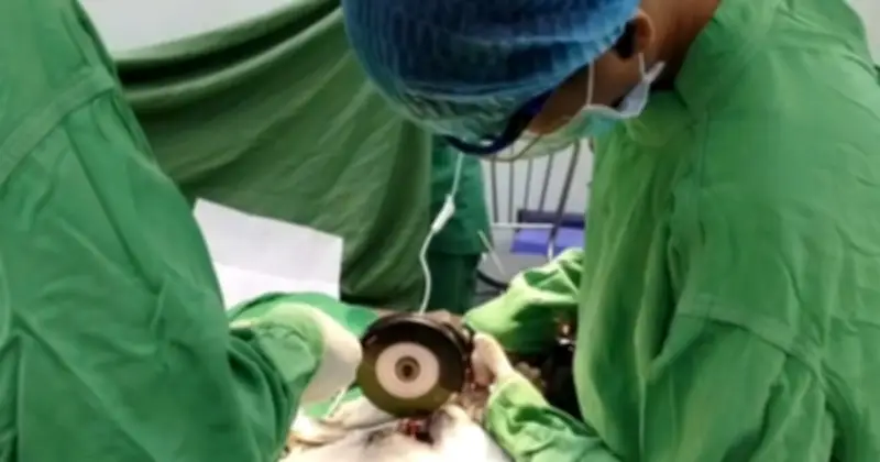 Bệnh nhân suýt mất 'của quý' vì hai đai ốc siết chặt suốt một tháng