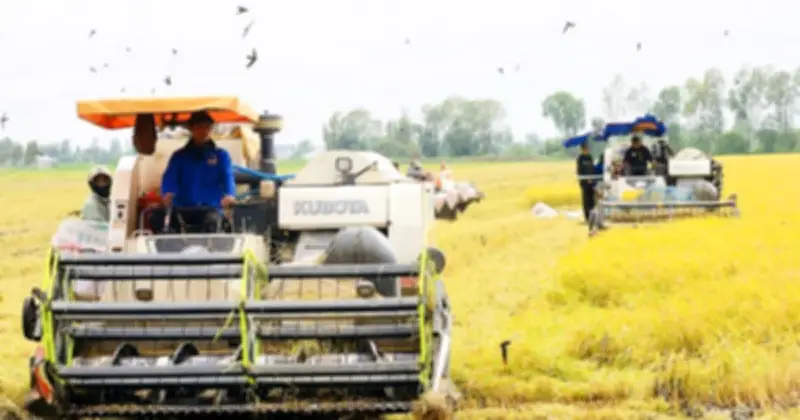 Báo cáo kinh tế ĐBSCL 2025: Doanh nghiệp là động lực then chốt cho tăng trưởng