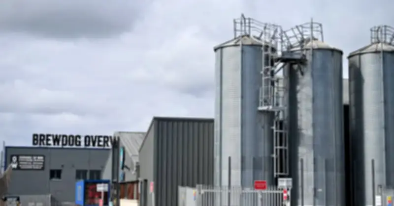 BrewDog sụp đổ: Bài học đắt giá cho mô hình gọi vốn cộng đồng