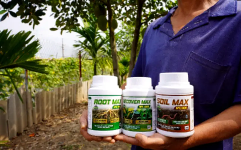 Cơ chế ra rễ và giải pháp tối ưu từ ROOT MAX NPK 8000