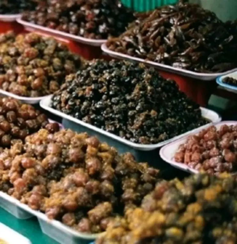 Ốc Mai Hà Nội: Tinh hoa ẩm thực phố cổ trong từng chiếc vỏ