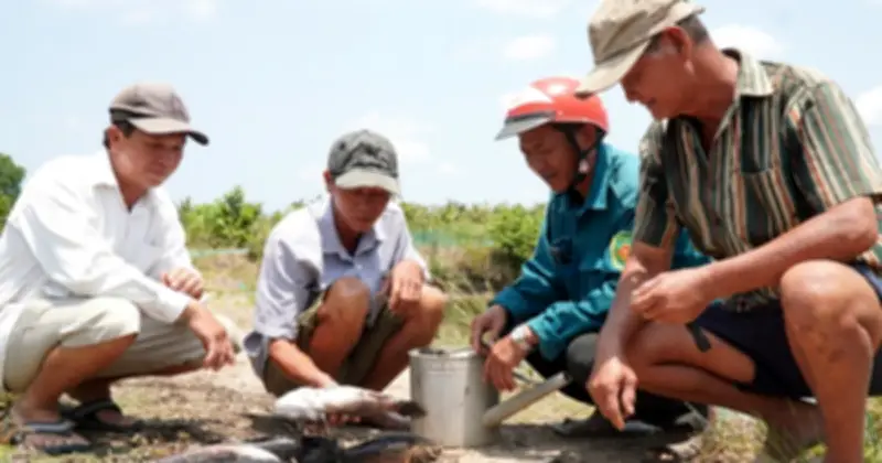 Cà Mau chỉ đạo xử lý thiệt hại cây trồng do thi công sân bay