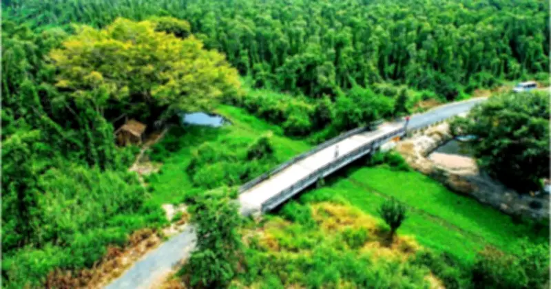 Cà Mau công bố 96 dự án kêu gọi đầu tư năm 2026