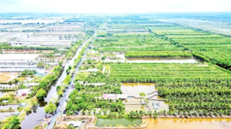 Cà Mau kiến tạo vùng quê nông thôn mới đáng sống, bền vững