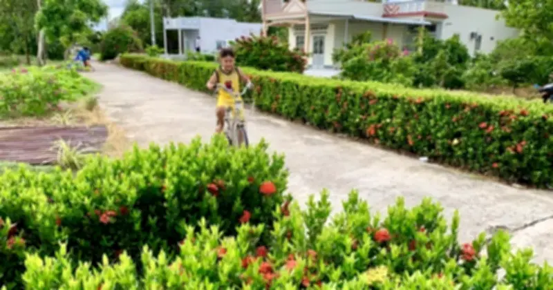 Cà Mau đặt mục tiêu giảm nghèo bền vững, yêu cầu người đứng đầu chịu trách nhiệm