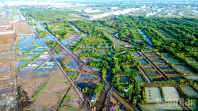 Cà Mau yêu cầu ngăn chặn xâm nhập mặn, khắc phục thiệt hại cho dân