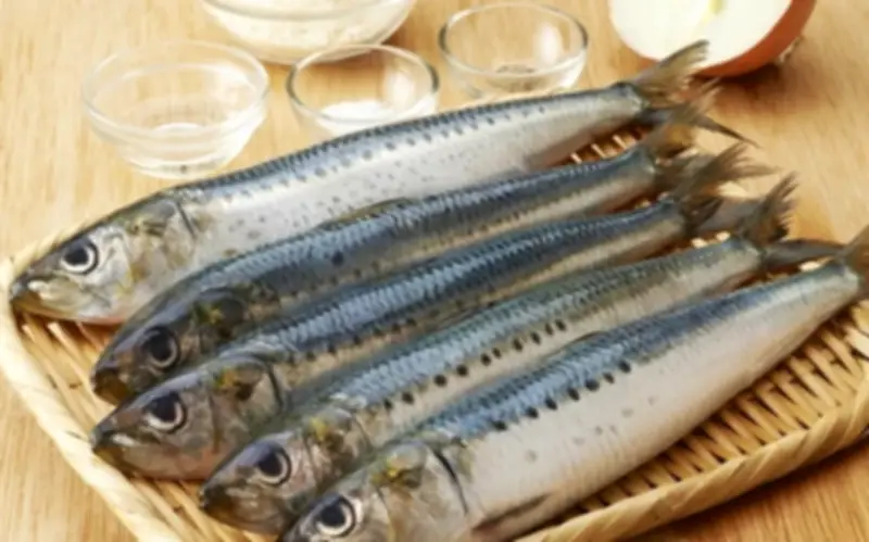 Cá mòi: Siêu thực phẩm giàu omega-3 và những lưu ý khi ăn