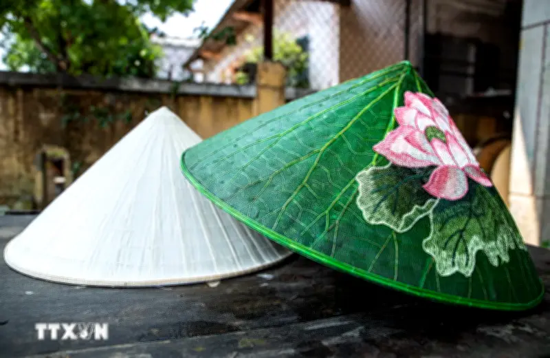Độc đáo sản phẩm nón lá sen, nón lá bàng xứ Huế