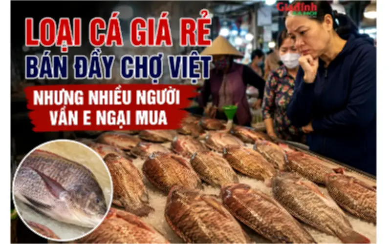 Cá rẻ tiền bán đầy chợ Việt nhưng nhiều người vẫn ngại mua vì sao?
