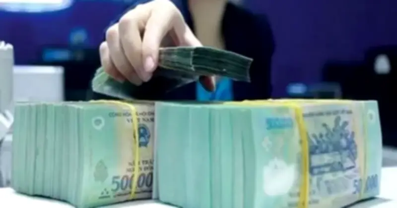 Cổ tức tiền mặt cao chót vót: May Phan Thiết 50%, Phân lân Ninh Bình 50%
