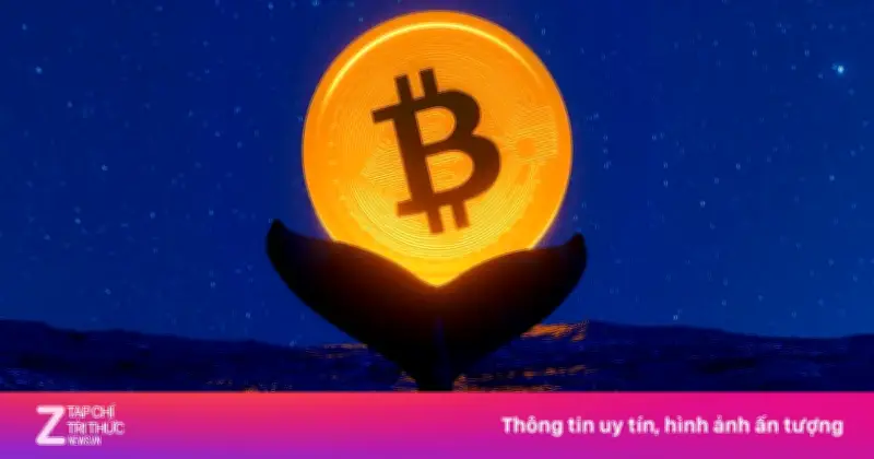 Cá voi Bitcoin thức giấc sau 10 năm, chuyển 40 triệu USD