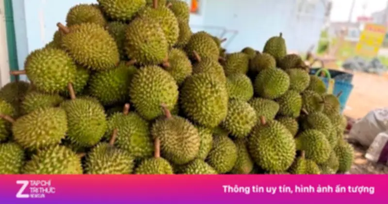 Cadimi sầu riêng: Lỗ hổng kỹ thuật hay hồi chuông cảnh báo cho ngành hàng tỷ USD?