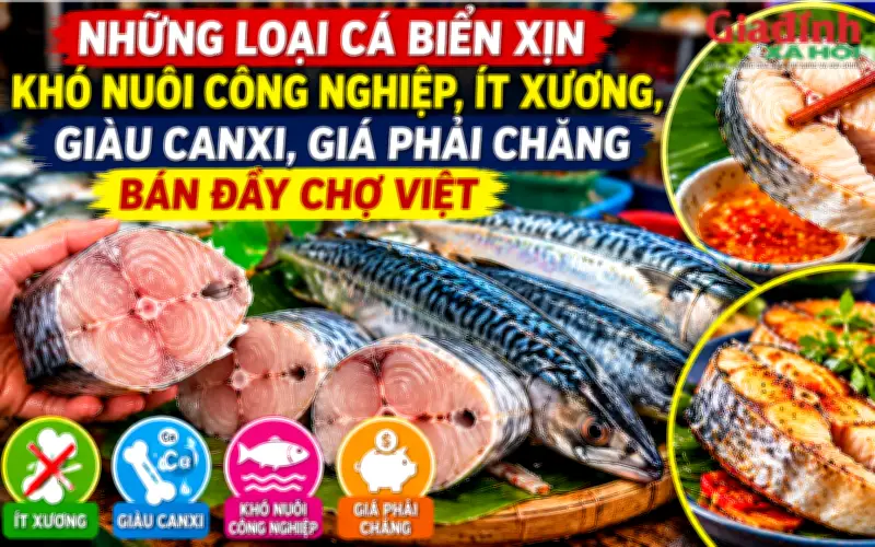 Các loại cá biển xịn khó nuôi công nghiệp, ít xương, giàu canxi, giá phải chăng