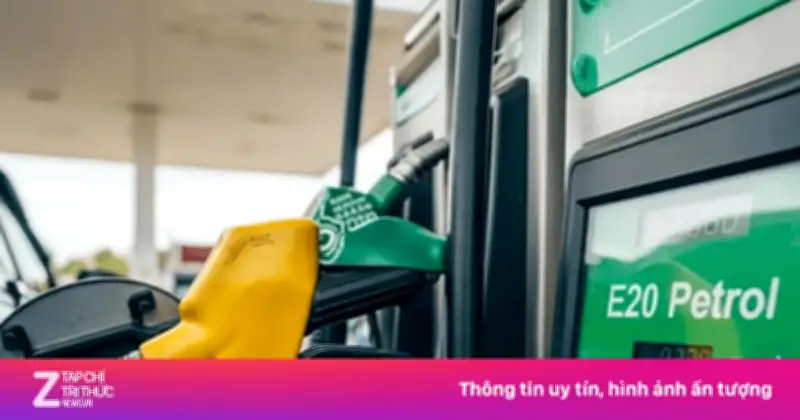 Các quốc gia đua nhau dùng xăng sinh học từ E20 đến E100