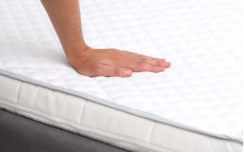 Cách bảo quản nem bền đẹp như mới bạn có thể chưa biết