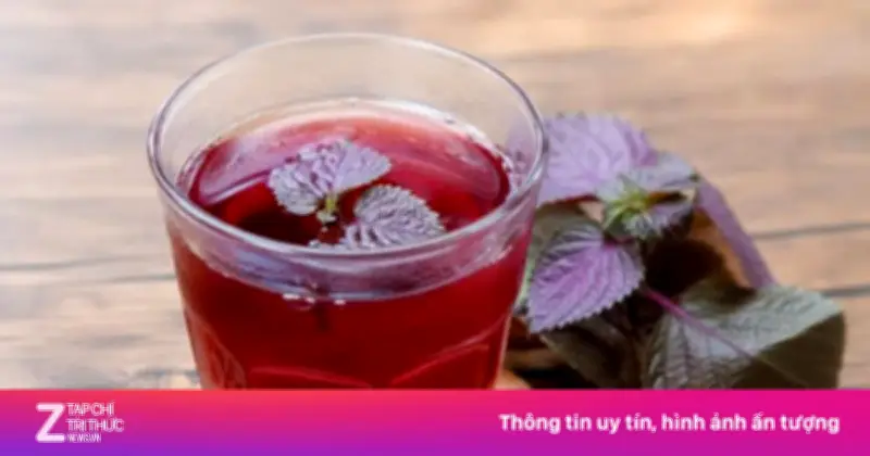 Cách uống nước tía tô thanh nhiệt cơ thể mùa nắng nóng hiệu quả