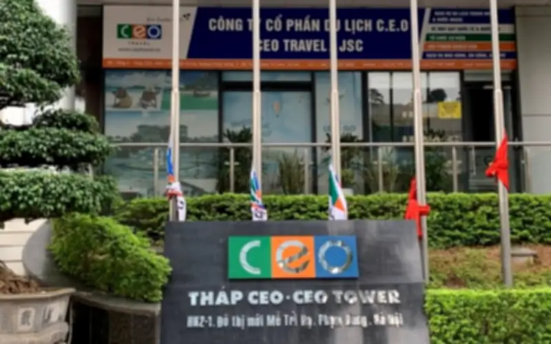 CEO Group phát hành 28,4 triệu cổ phiếu trả cổ tức năm 2025