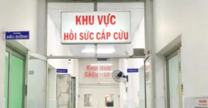 Chó nghi dại cắn 5 người ở chợ An Chấn, Phú Yên