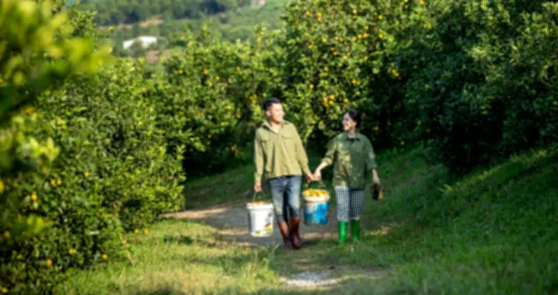 Chủ nhà Hà Nội bỏ phố về quê làm vườn, cho thuê nhà giá rẻ
