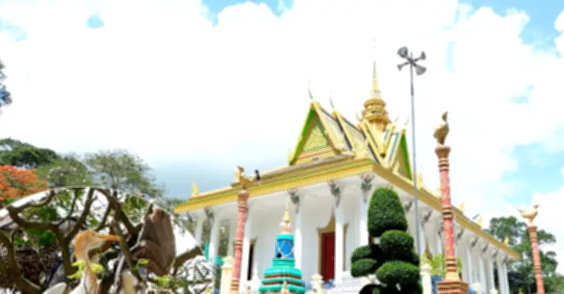 Chùa Hang Vĩnh Long: Ngôi chùa cổ 400 năm với đàn chim hoang dã