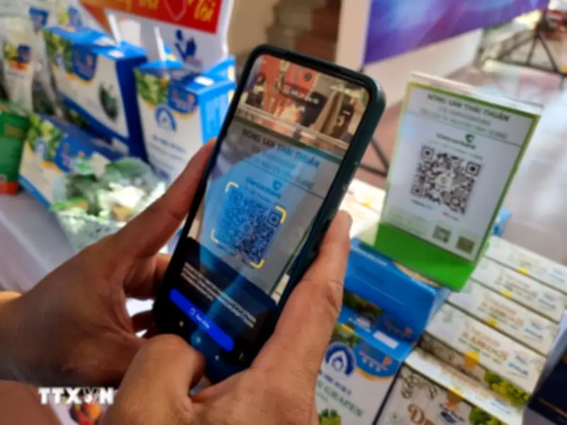Chiến lược tài chính toàn diện: Hướng tới 95% người trưởng thành có tài khoản