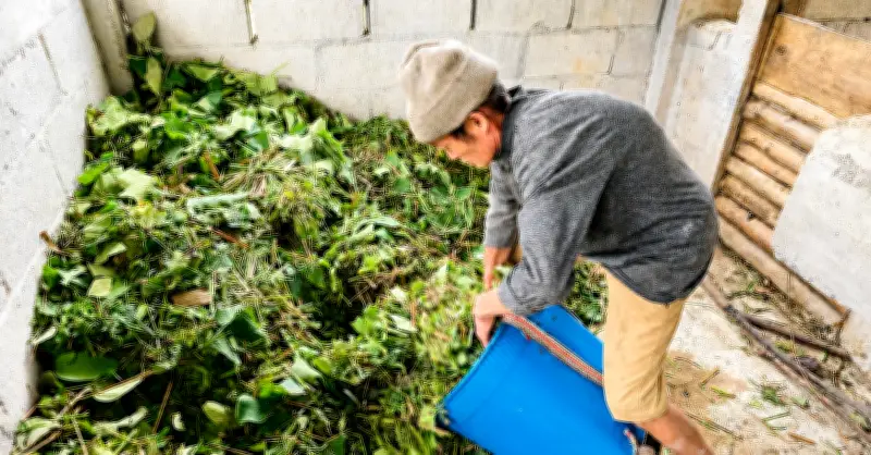 Chăn nuôi dê giúp đồng bào Mường Khiêng thoát nghèo bền vững