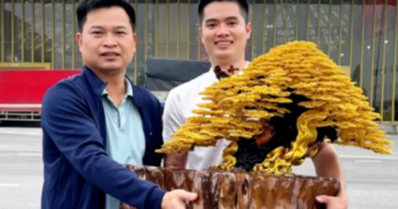 Chàng trai 28 tuổi trở thành Nghệ nhân Huế nhờ bonsai dây đồng