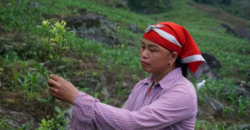 Chính sách dân tộc tạo lực đẩy để vùng cao chuyển mình