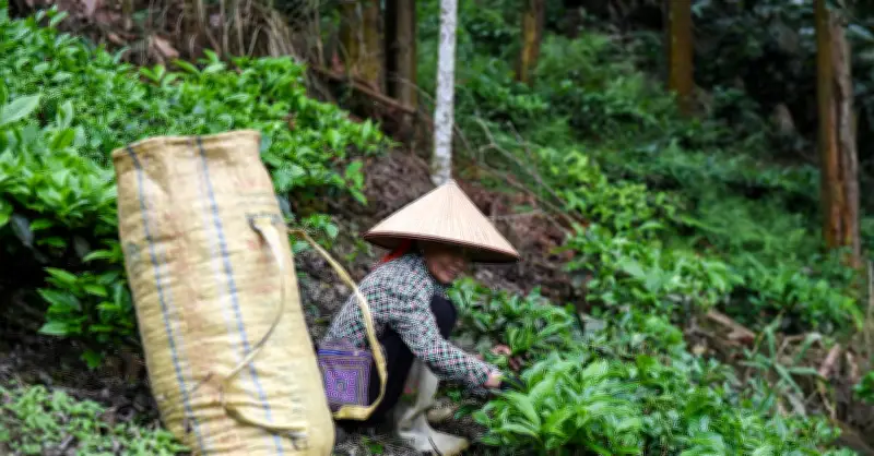 Chính sách dân tộc và miền núi: Phép thử tư duy từ hỗ trợ sang kiến tạo