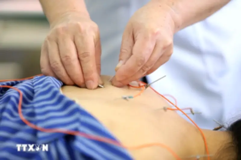Chuẩn hóa tri thức y học cổ truyền bằng khoa học và dữ liệu