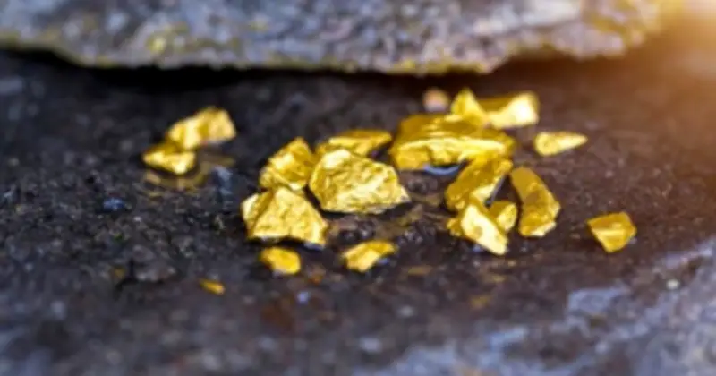 Chuyên gia: Phân hóa cổ phiếu sẽ còn tiếp diễn, nhà đầu tư nên tập trung vào giá trị