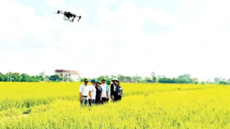 Chuyển đổi số giúp nông sản Hưng Yên vươn xa