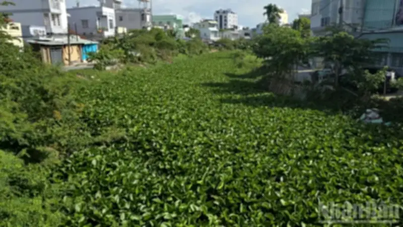 Cải tạo rạch Cái Sơn, Ông Mạnh, Bà Bầu ở Long Xuyên: Dự án bỏ hoang nhiều năm sắp tái khởi động