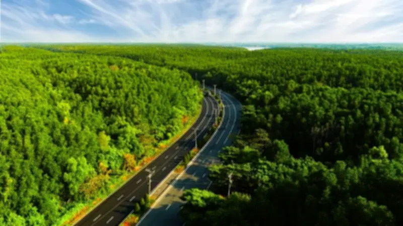 Cần Giờ chuyển mình: Từ 'ốc đảo' thành cực tăng trưởng mới của TP.HCM