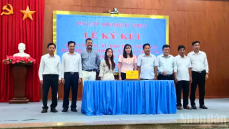 Cần Thơ: Liên kết doanh nghiệp, hợp tác xã, nông dân tạo chuỗi sản xuất khép kín