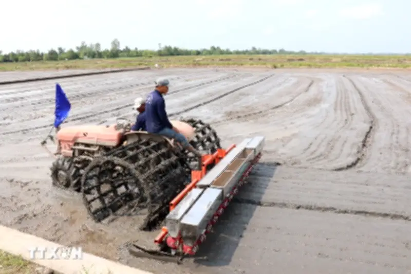 Cần Thơ tích hợp công nghệ số, tăng cơ giới hóa ngành lúa gạo
