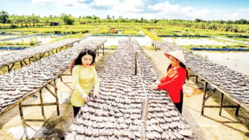 Cần Thơ đẩy mạnh chuyển đổi số ngành thuế, cao tốc Châu Đốc - Cần Thơ - Sóc Trăng tăng tốc
